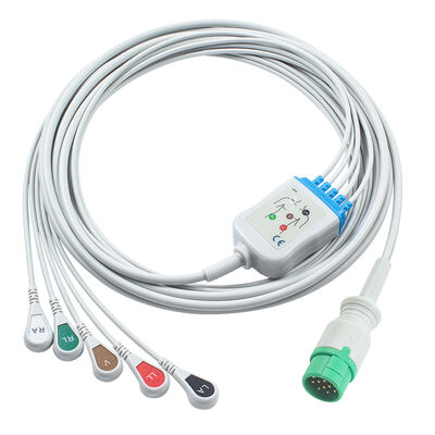 Emtel Fx2000 EKG-kabels en looddraad 12pin connector EKG-kabel 3 5 Lead IEC AHA Snap Grabber Clip